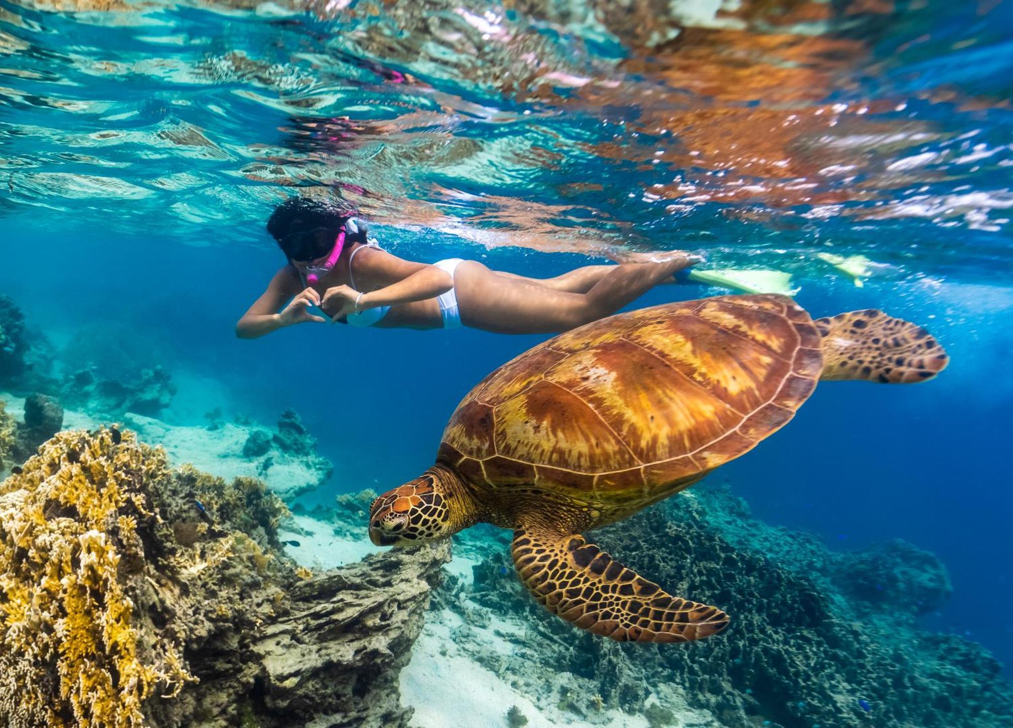 Sanctuary Rarotonga On The Beach (Adults Only) Екстериор снимка