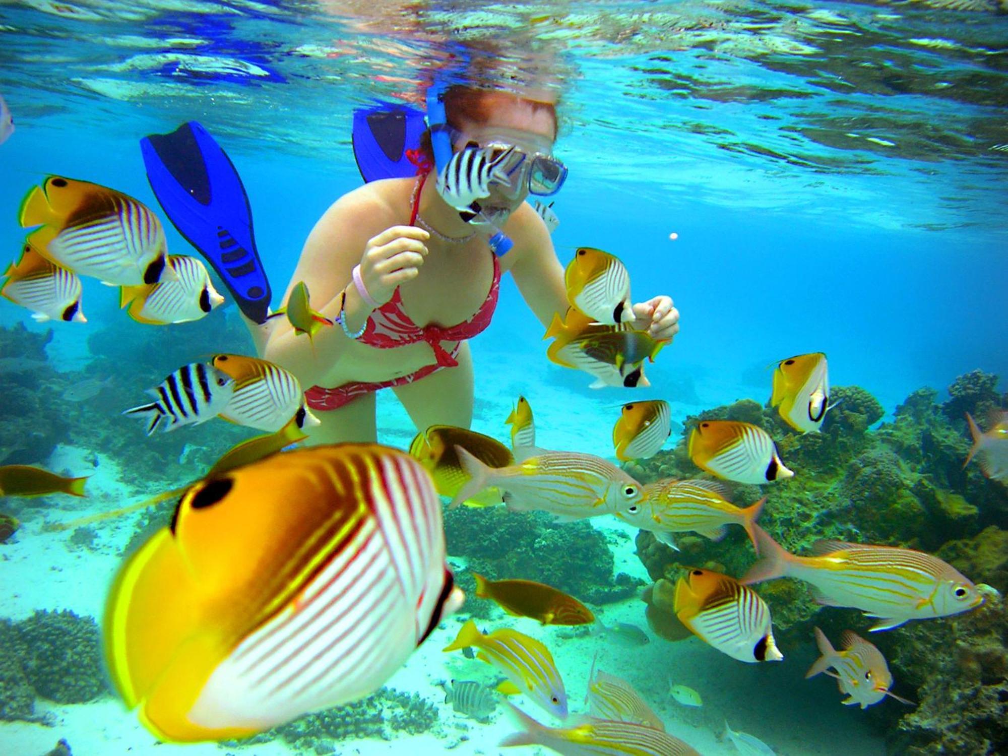 Sanctuary Rarotonga On The Beach (Adults Only) Екстериор снимка